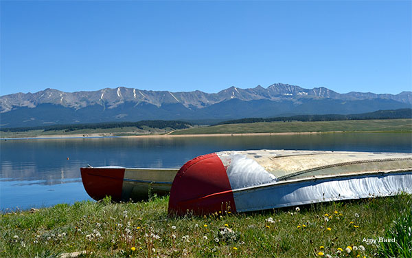 By The Lake by Amy Baird