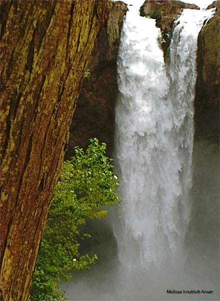 Natures Faucet by Melissa Knoblett-Aman